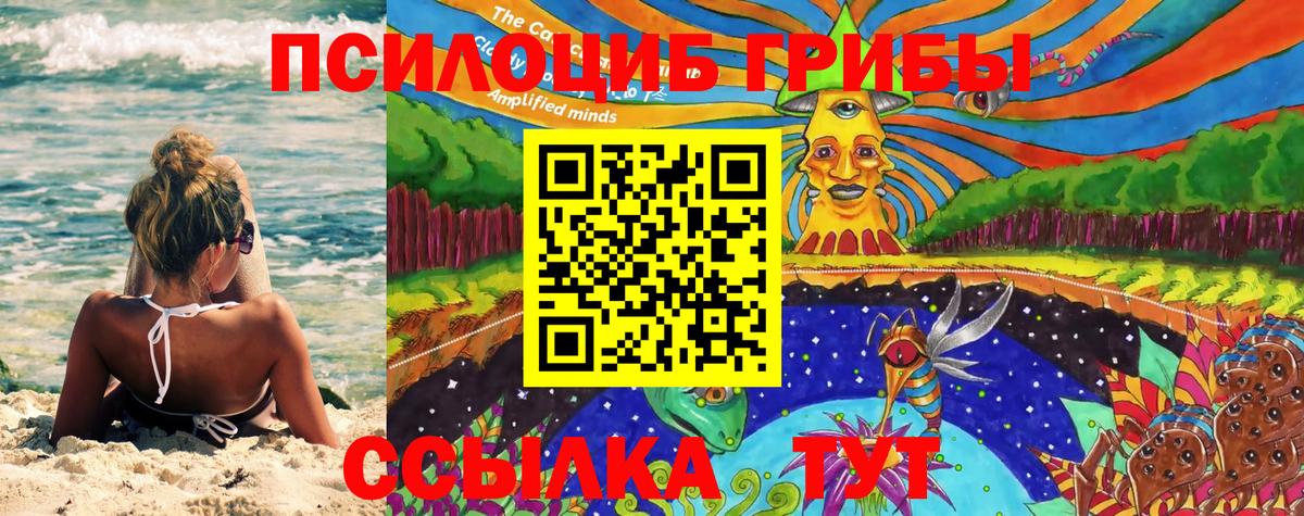 Вышний Волочёк  Галлюциногенные грибы MAGIC MUSHROOMS  Галлюциногенные грибы Psilocybine cubensis  Вход с VPN 