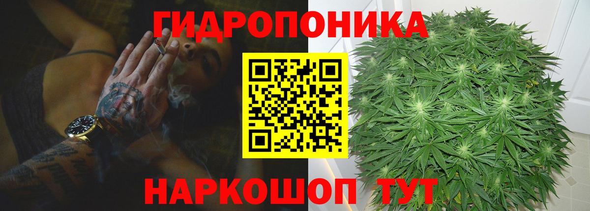 Шишки марихуана White Widow Вышний Волочёк